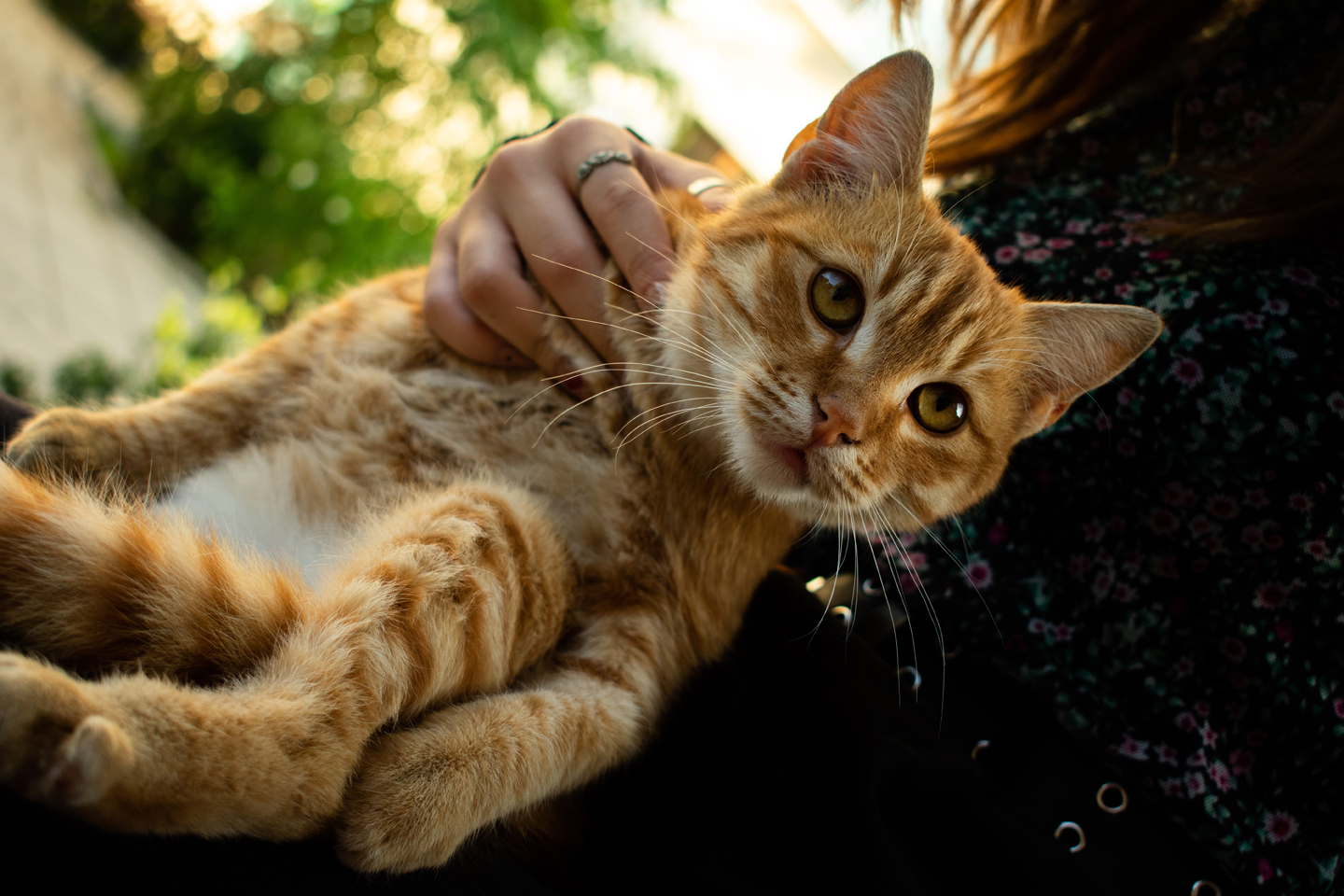 1/200, f/5.6, ISO 100, 55mm