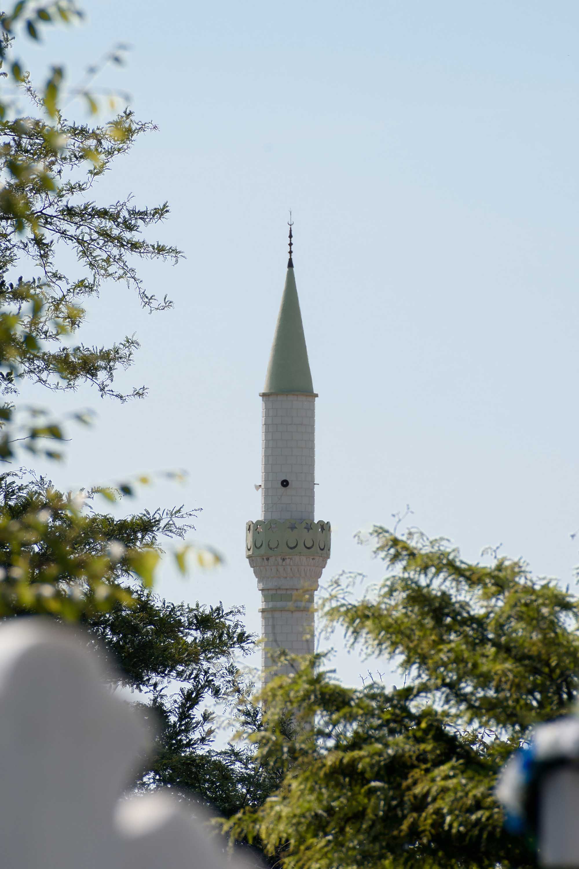 1/320, f/11, ISO 200, 300mm