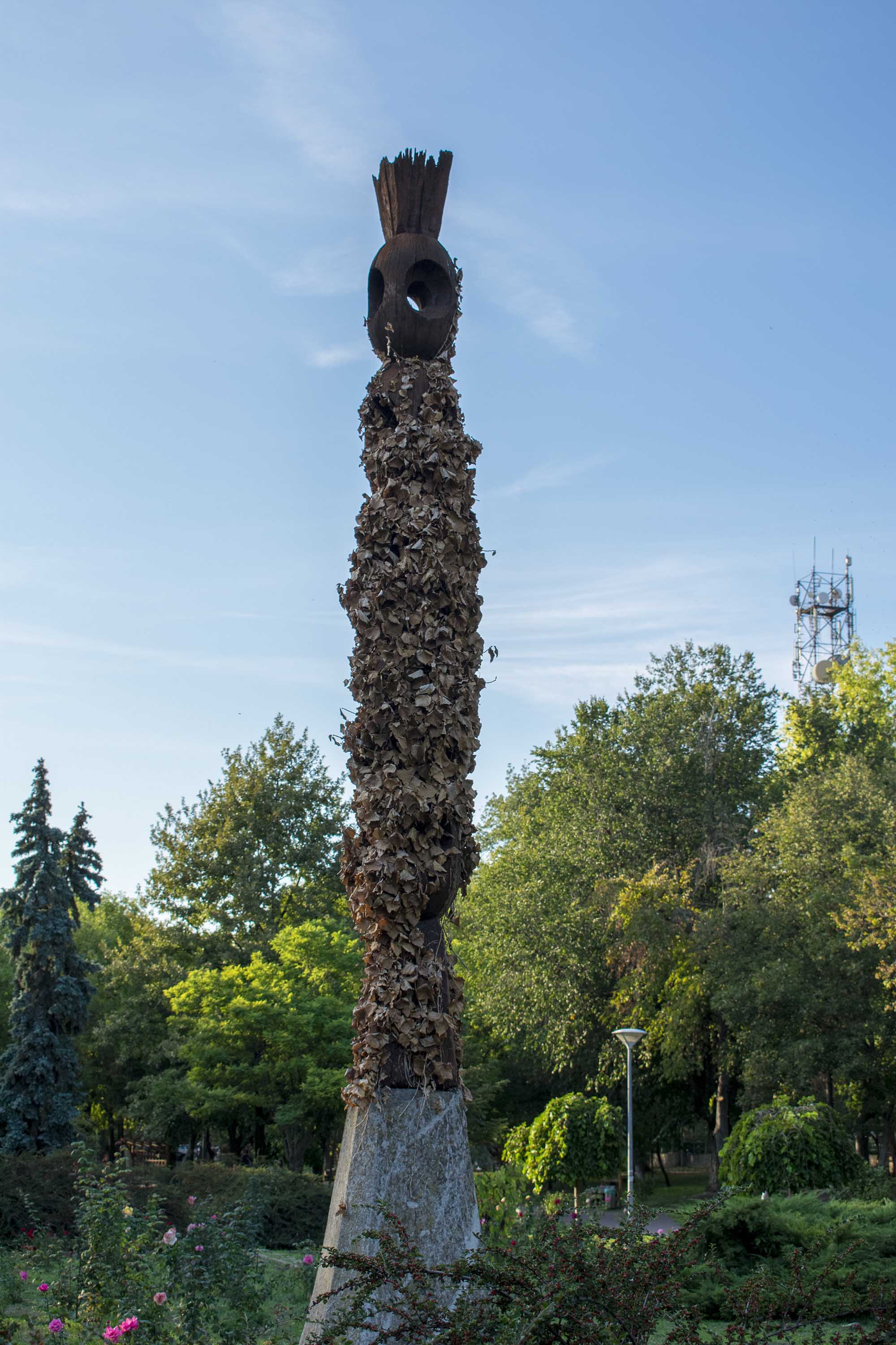 1/250, f/8, ISO 200, 38mm