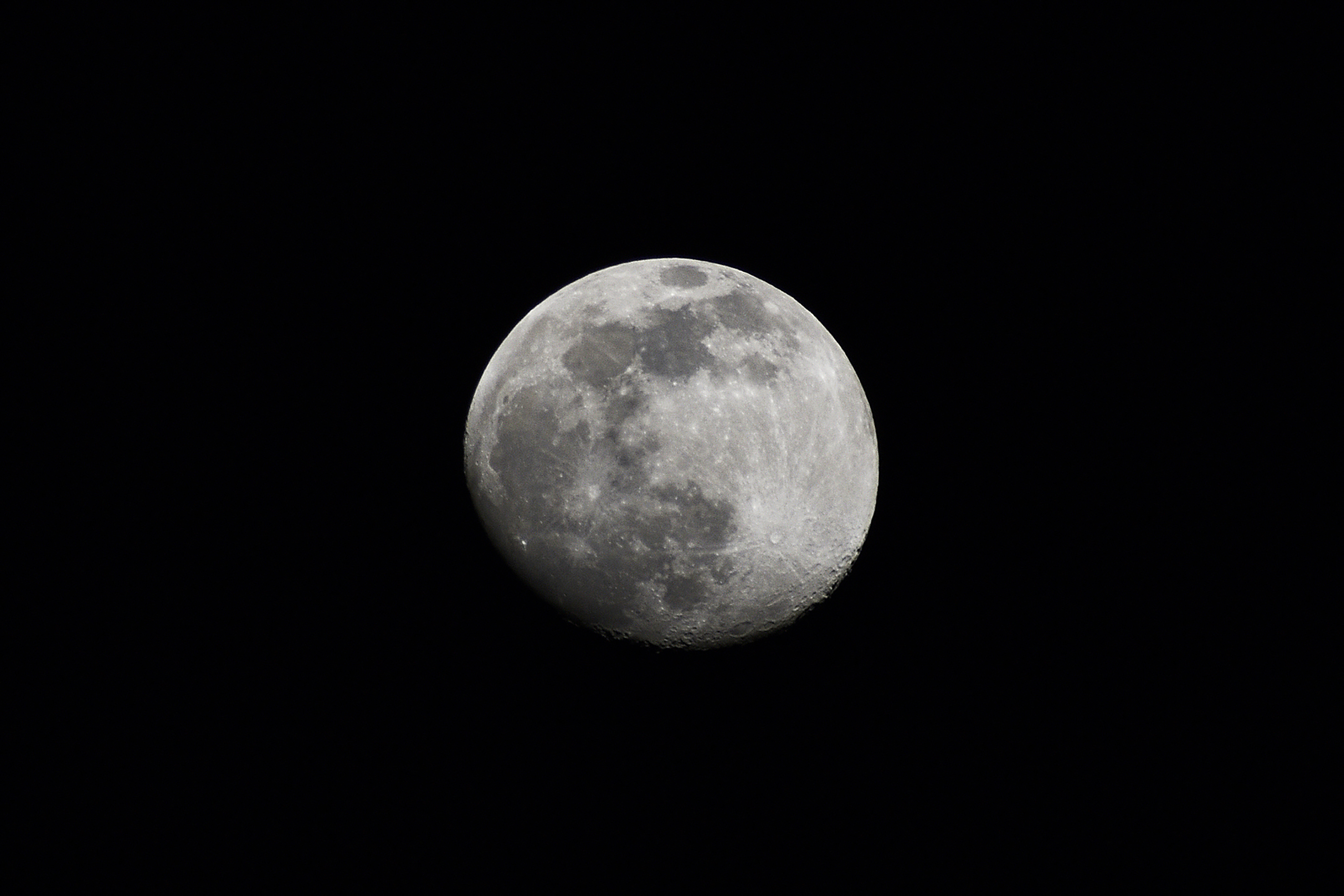 1/400, f/6.3, ISO 100, 300mm