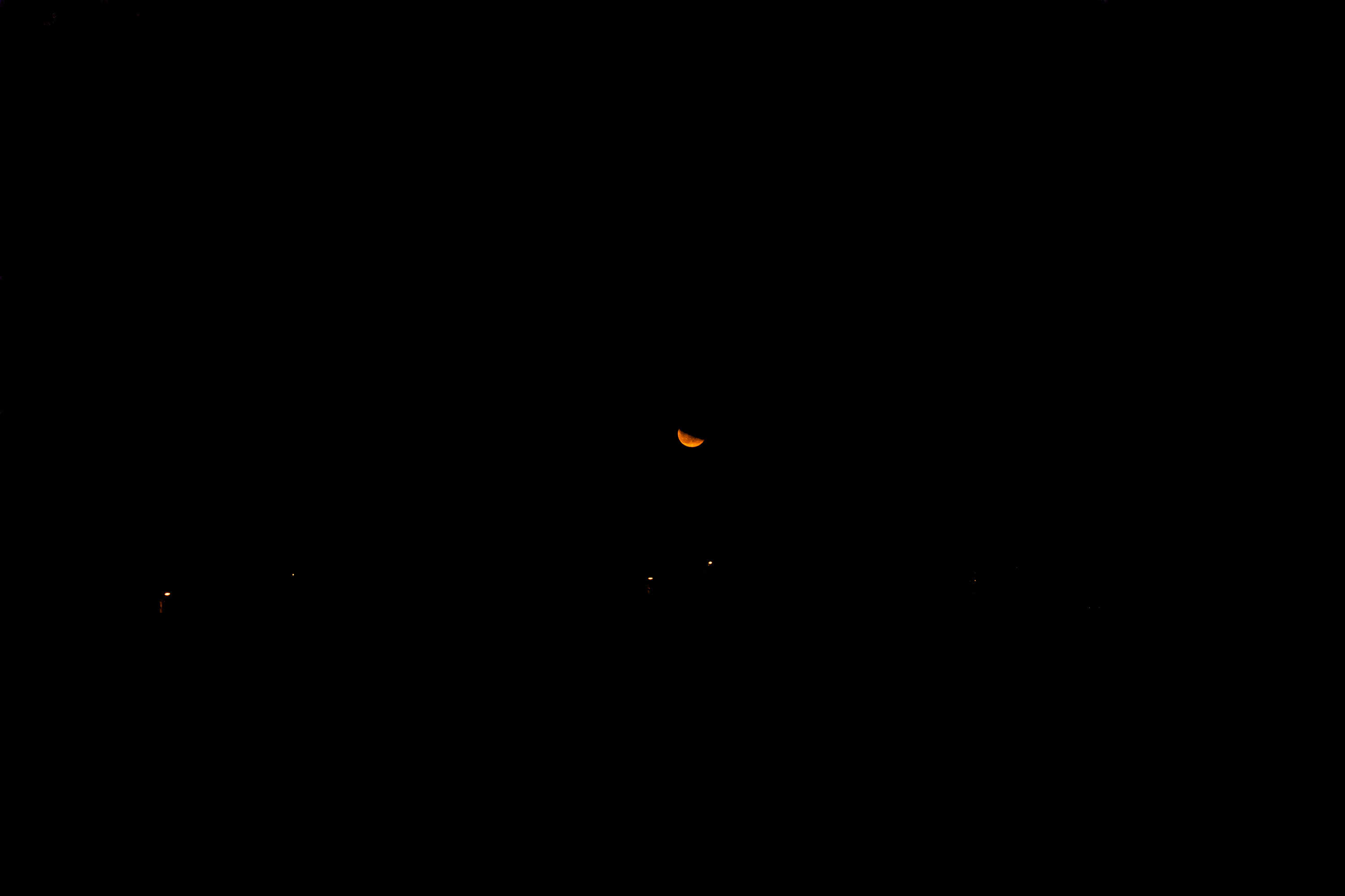 1/125, f/5.6, ISO 800, 55mm