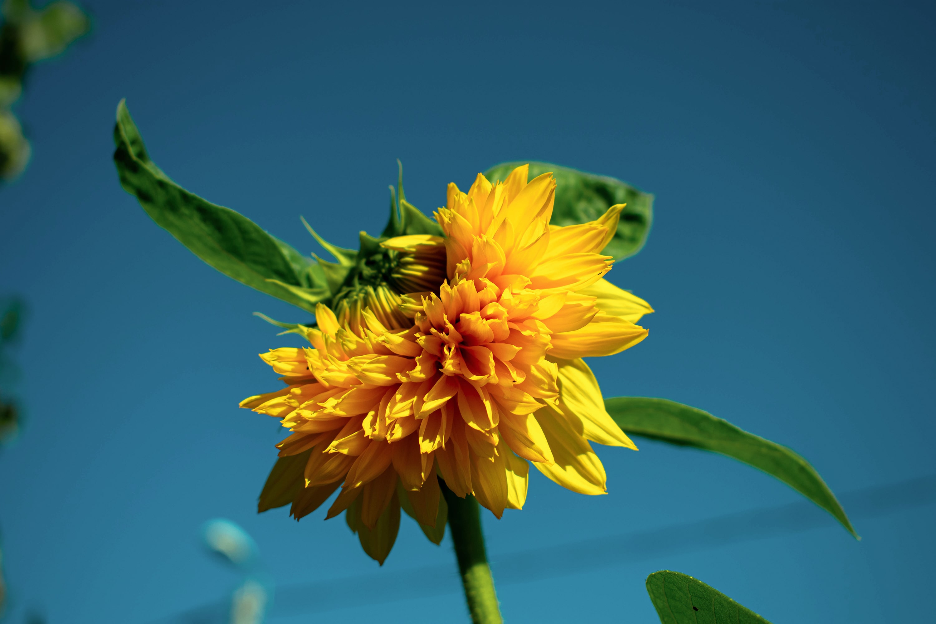 1/800, f/5.6, ISO 100, 35mm