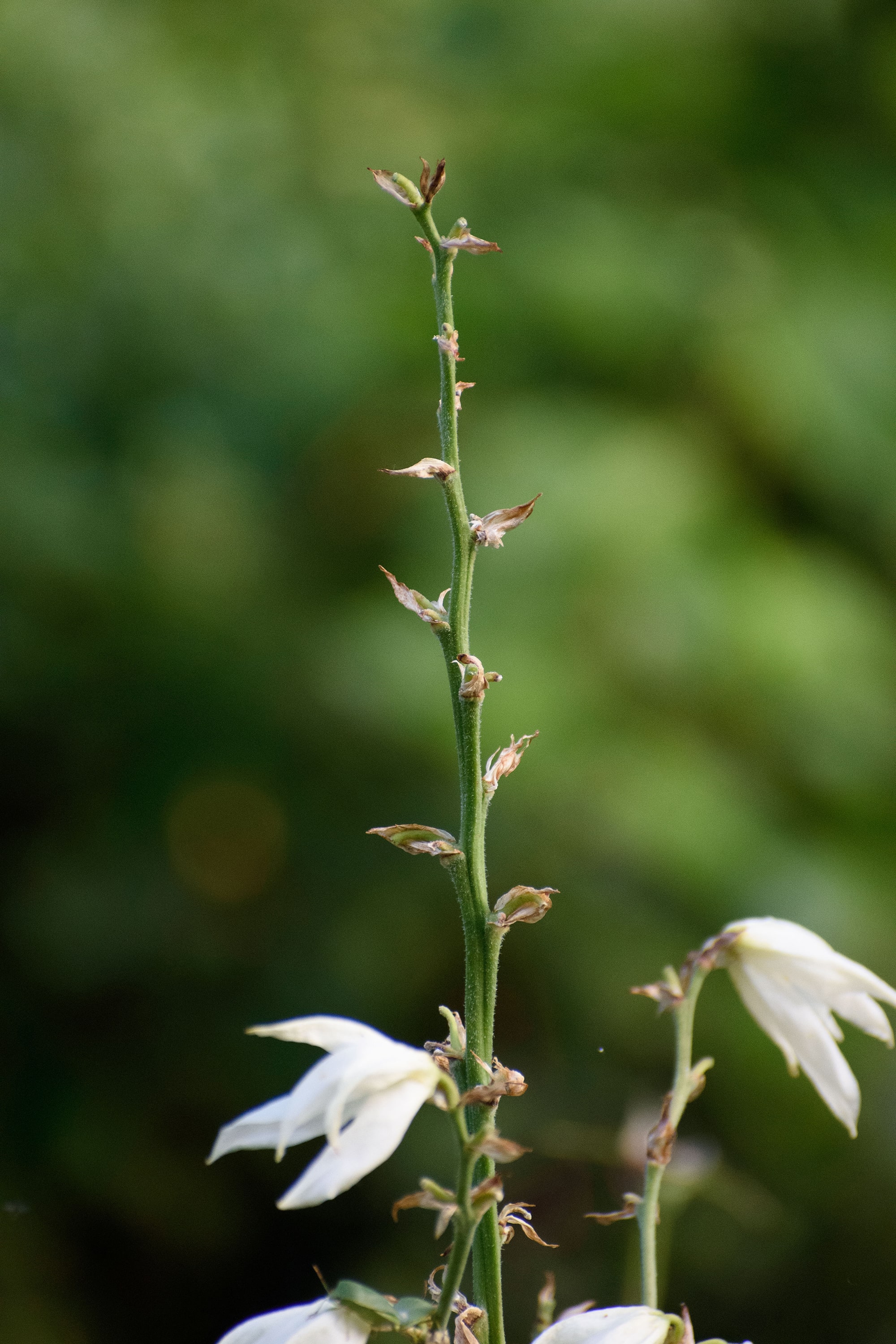 1/400, f/6.3, ISO 1600, 300mm