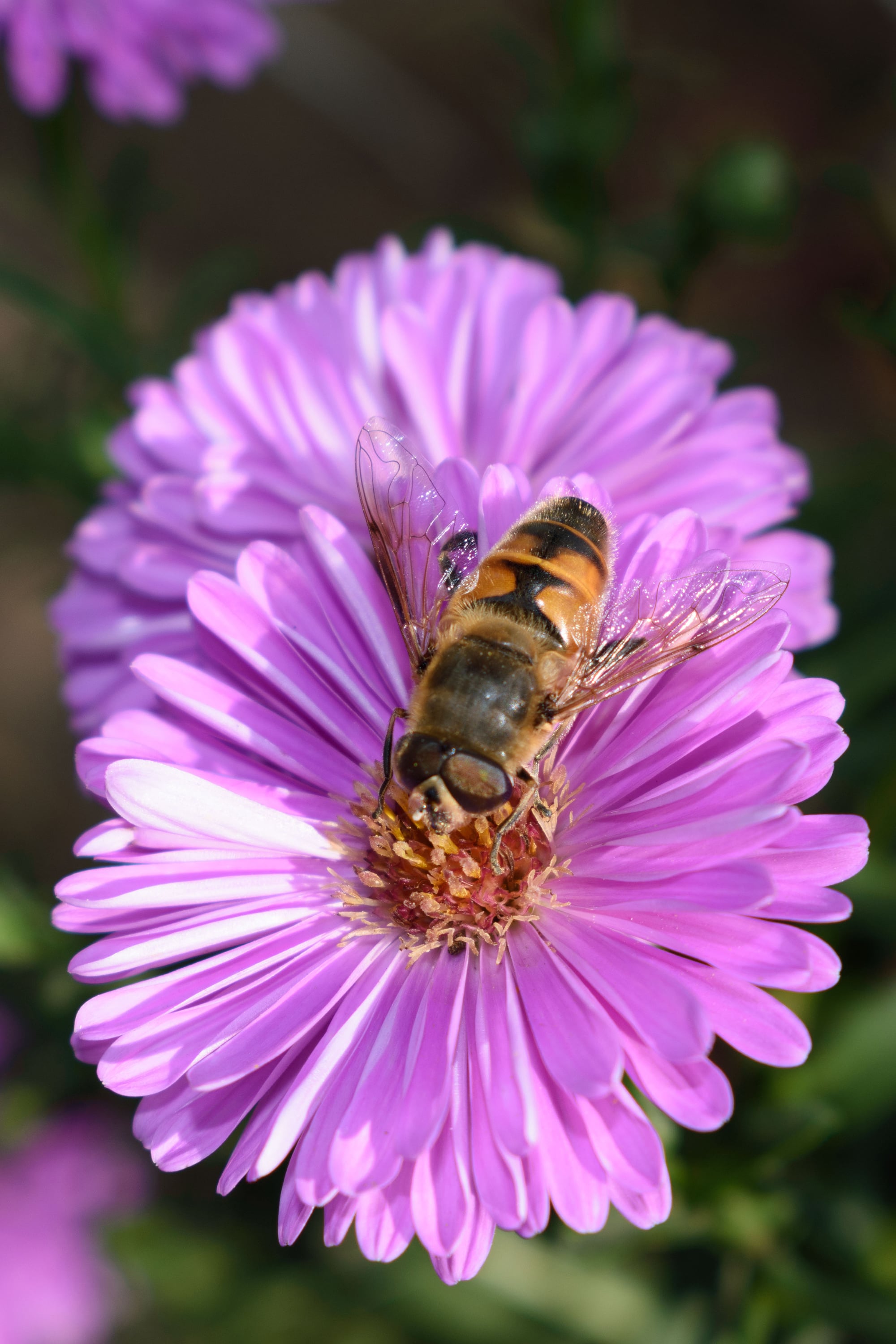 1/200, f/8, ISO 100, 55mm