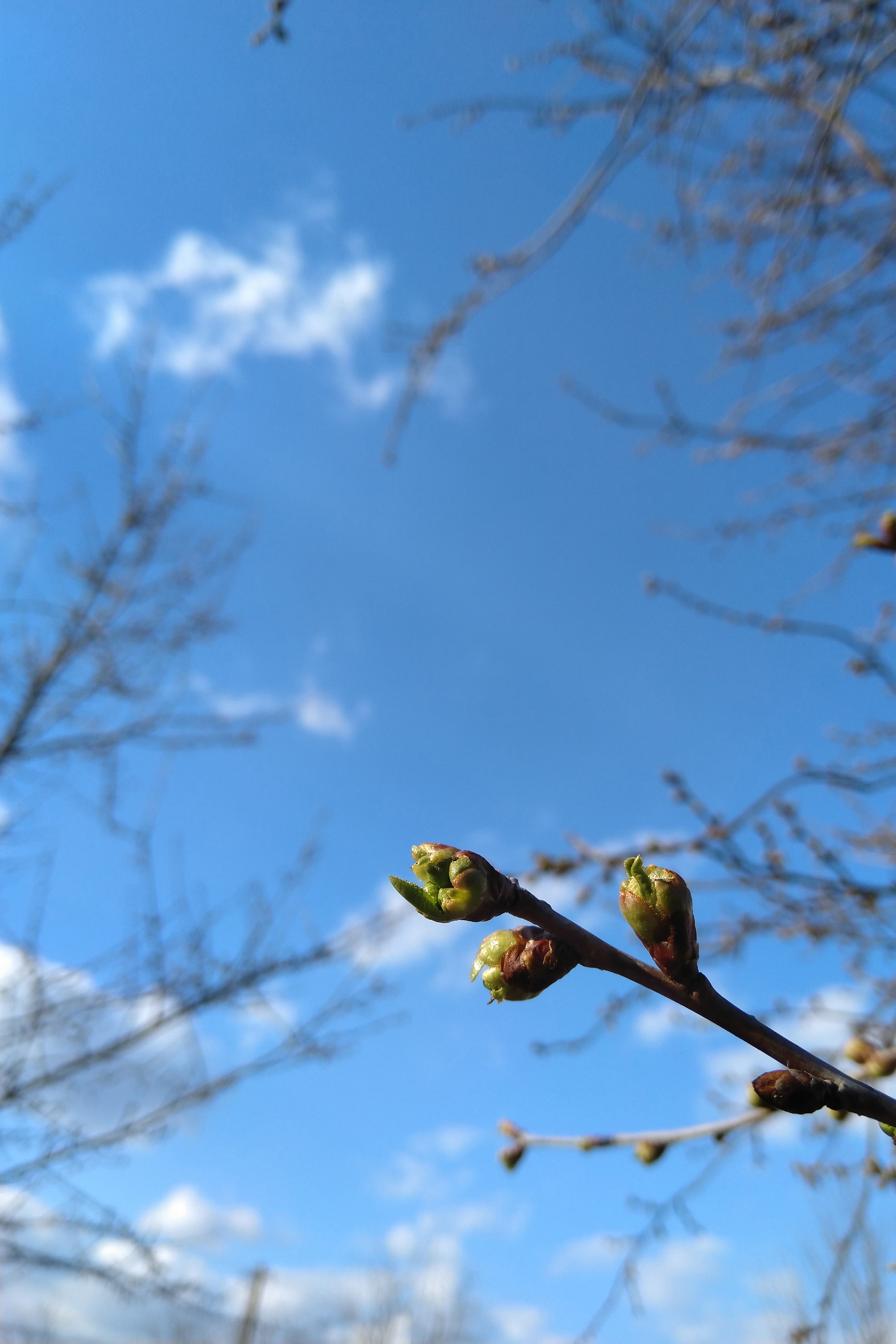 1/818, f/2, ISO 100, 4mm