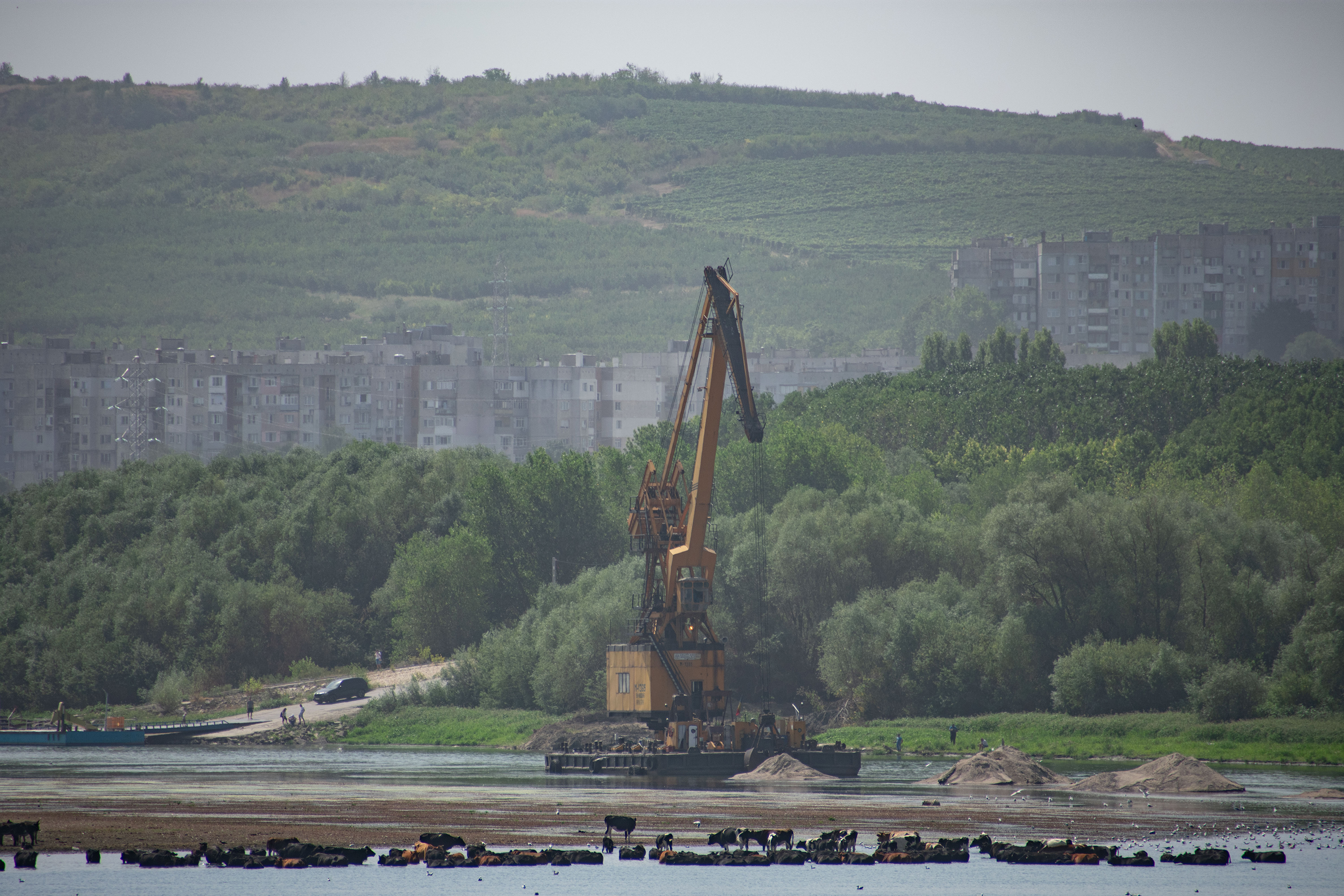 1/160, f/11, ISO 100, 70mm