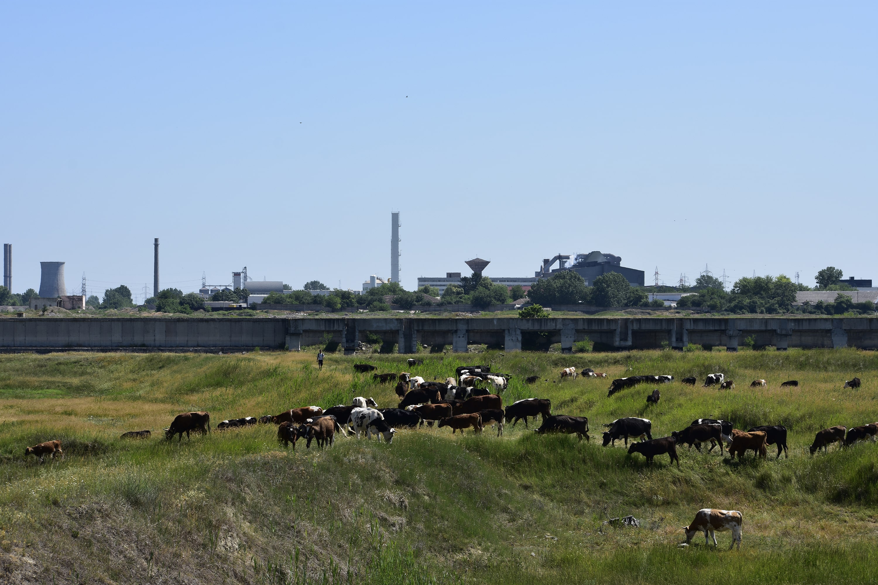 1/160, f/11, ISO 100, 70mm