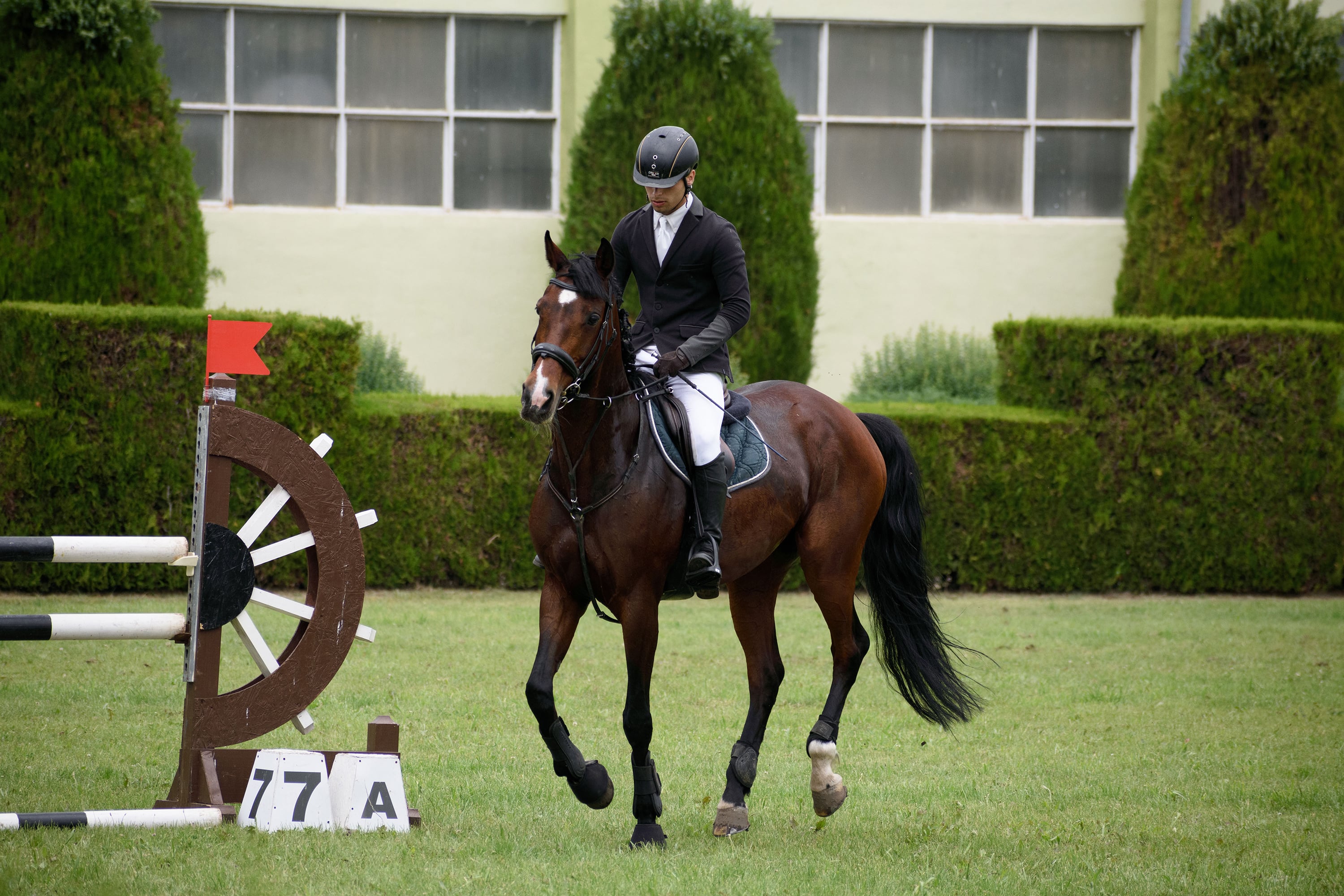 1/1250, f/5, ISO 400, 160mm