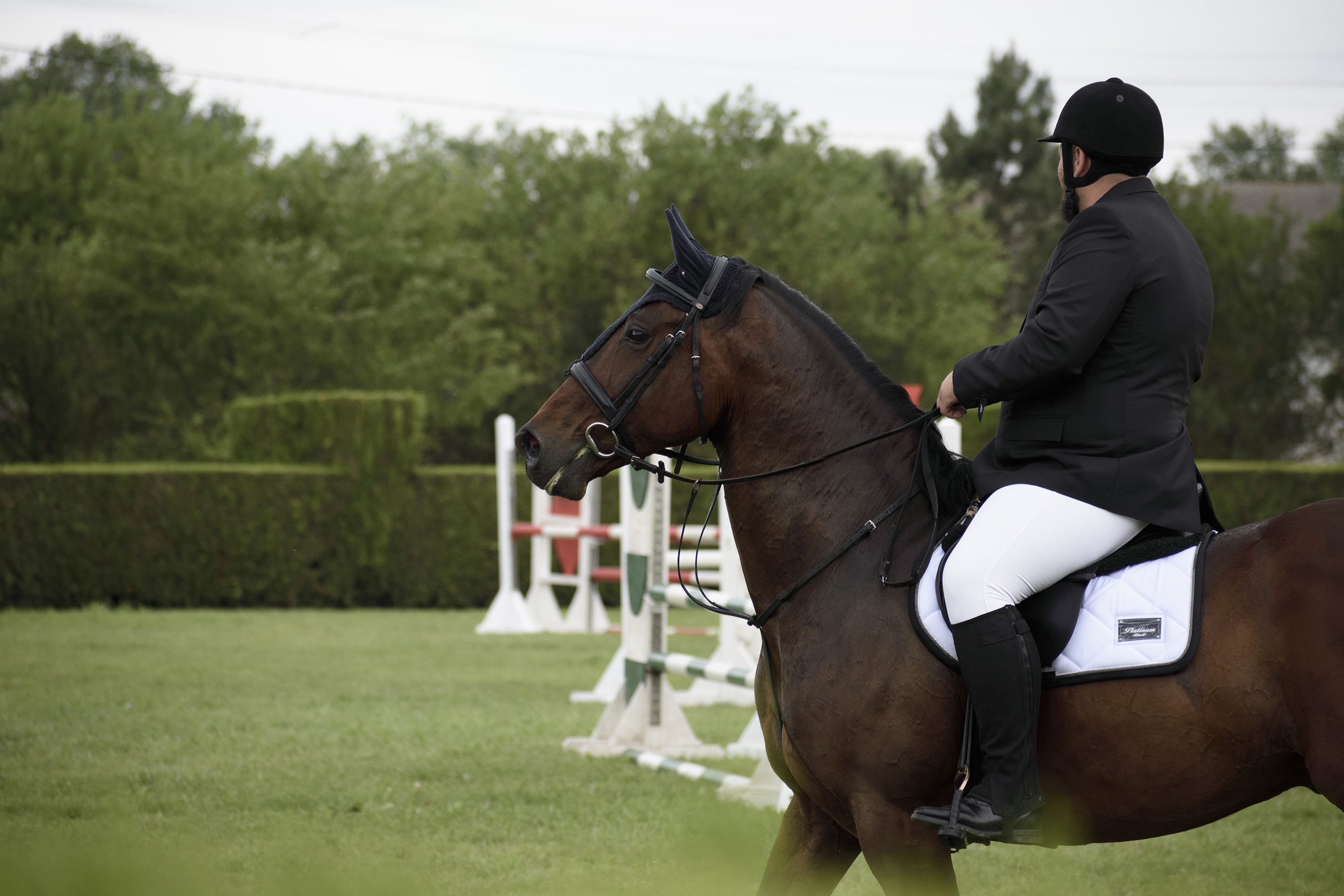 1/1000, f/5, ISO 560, 150mm