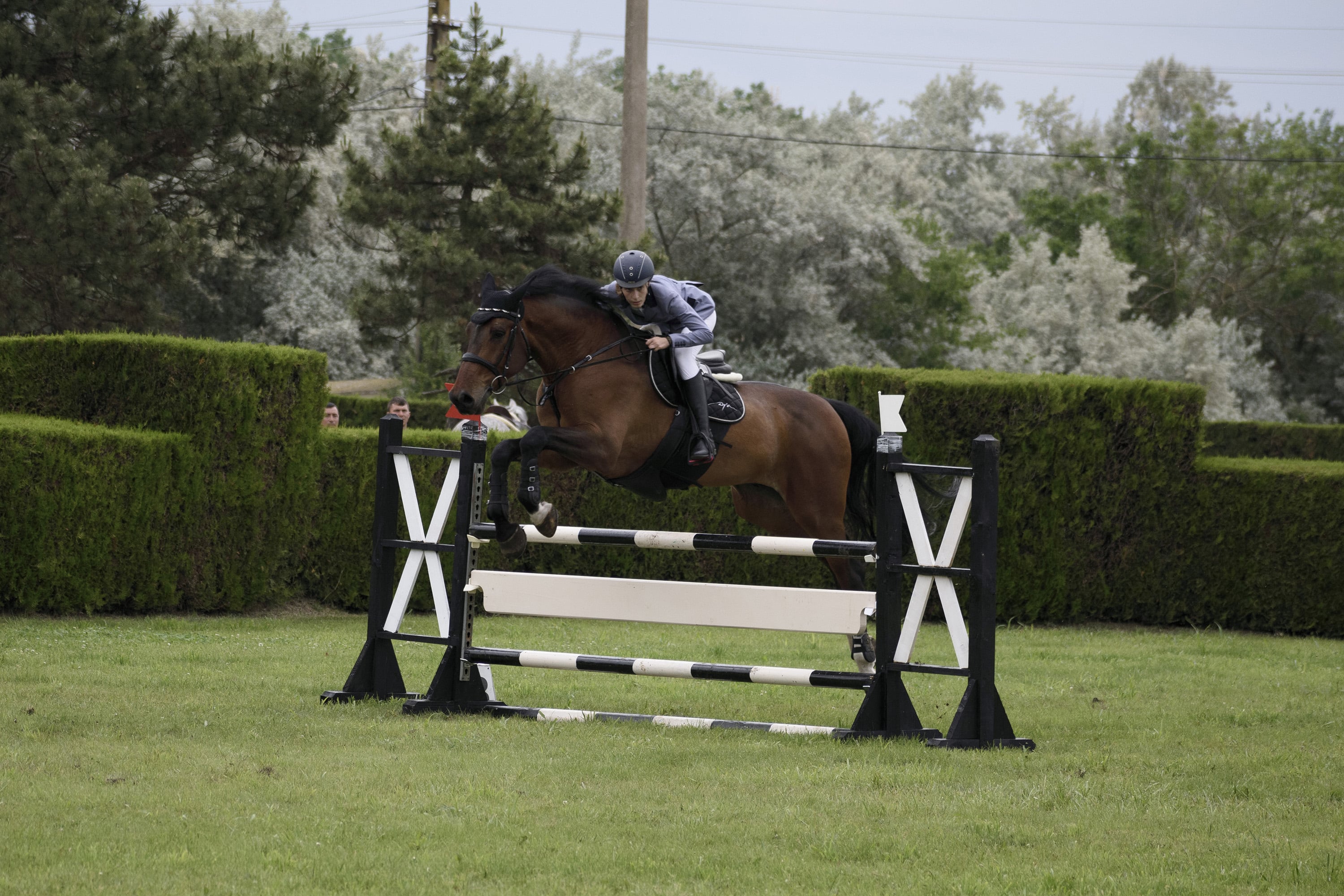 1/1250, f/5, ISO 400, 120mm