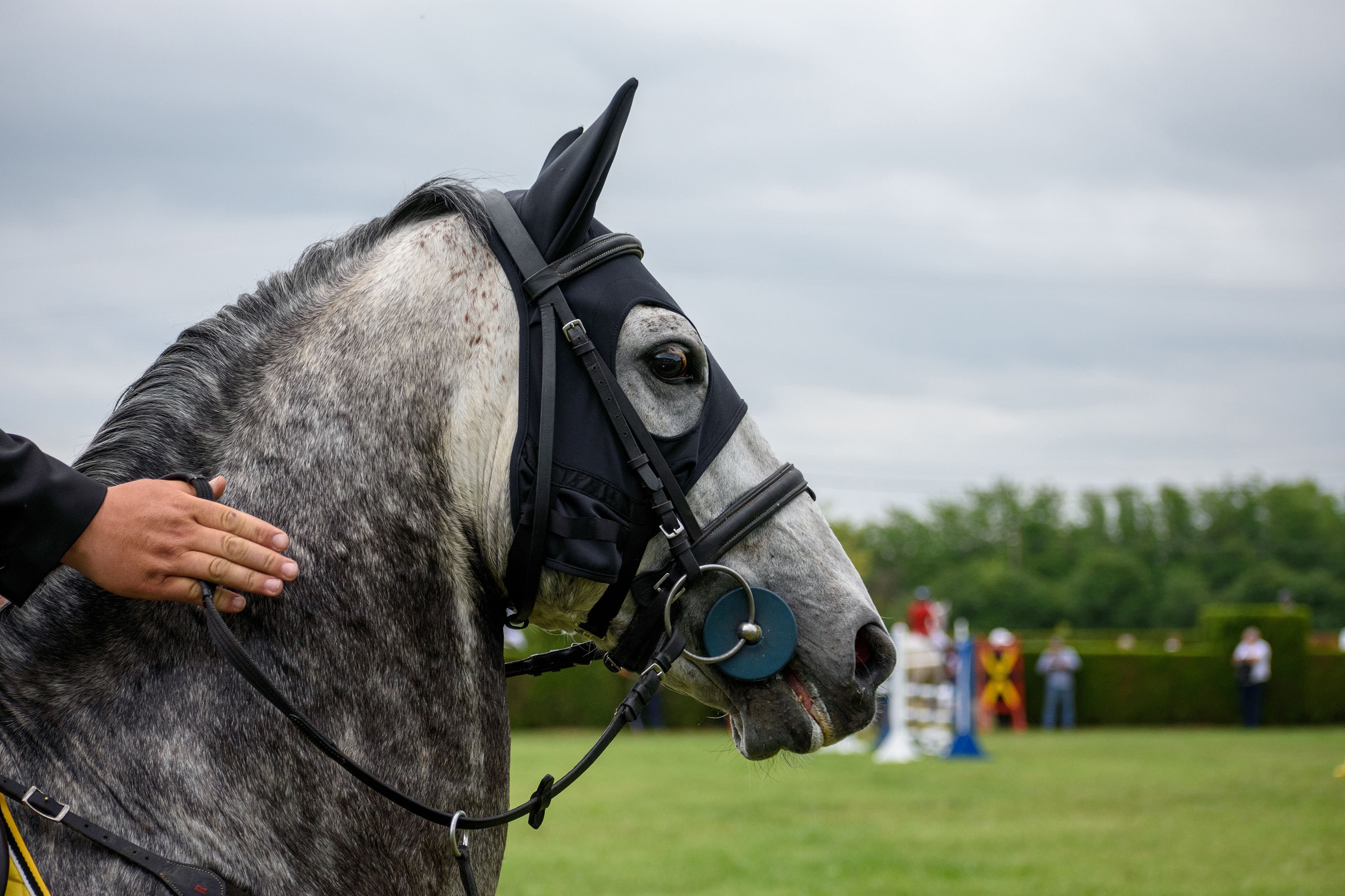 1/1250, f/4.5, ISO 400, 70mm