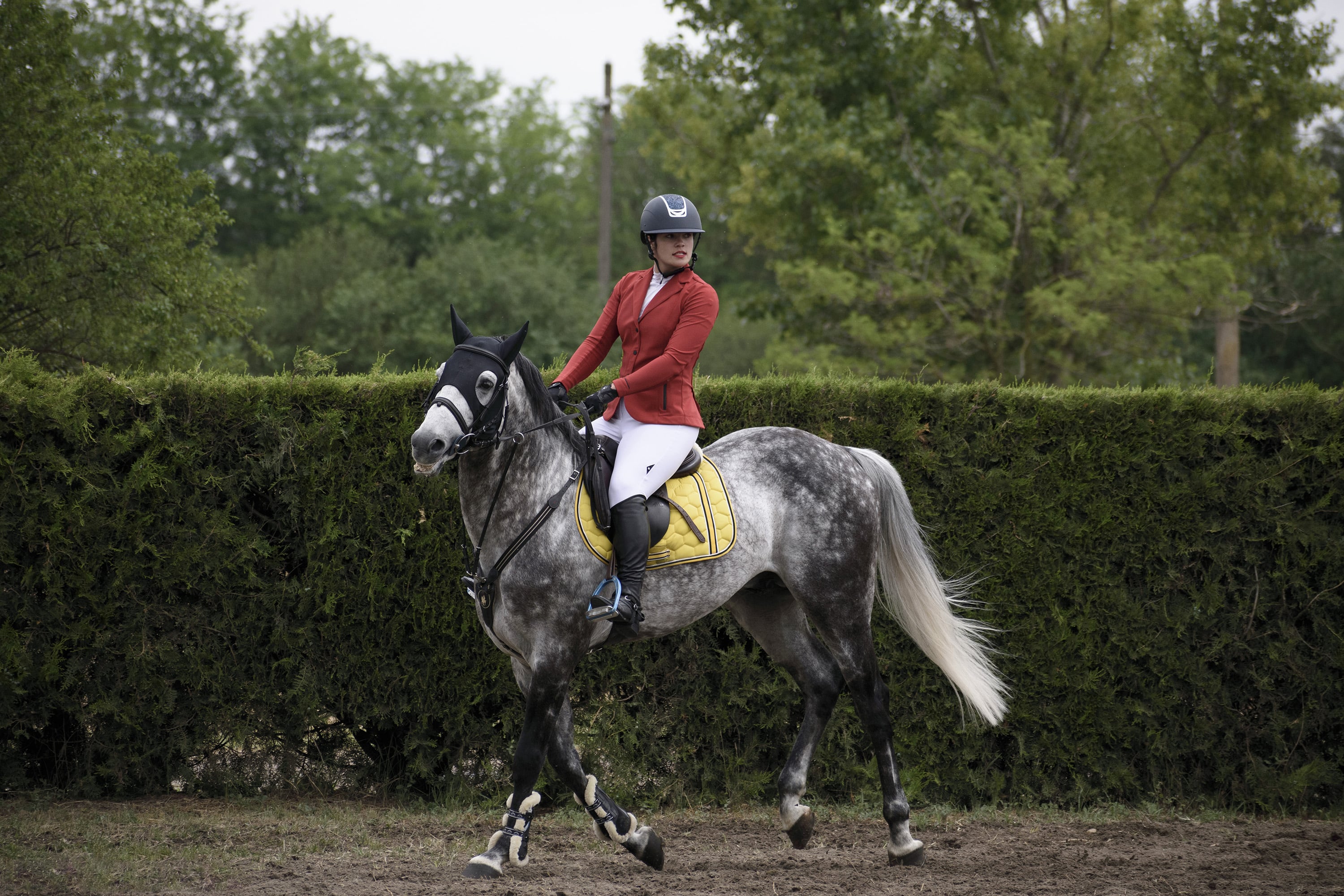 1/1000, f/5, ISO 400, 170mm