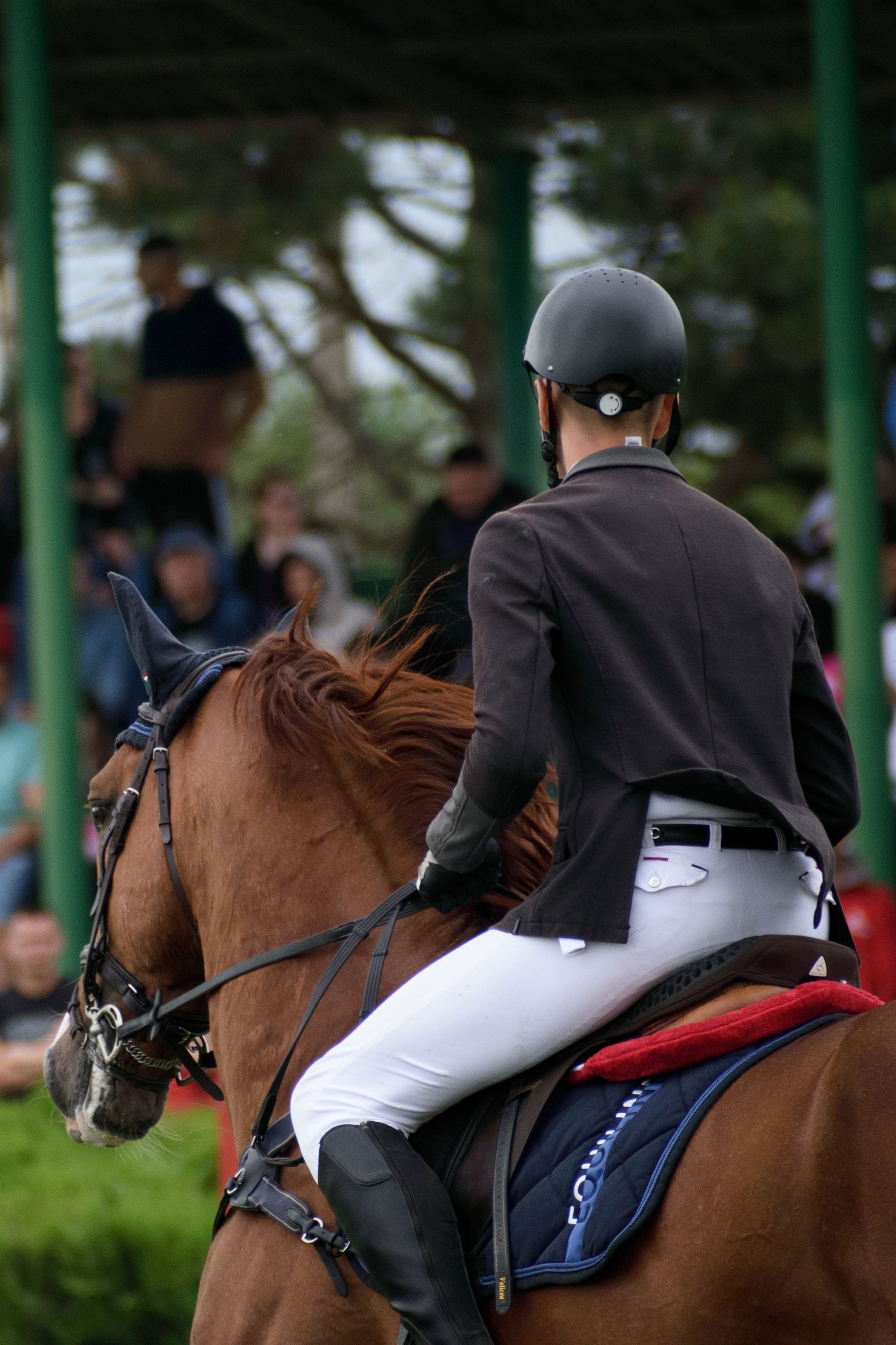 1/1000, f/6.3, ISO 800, 300mm