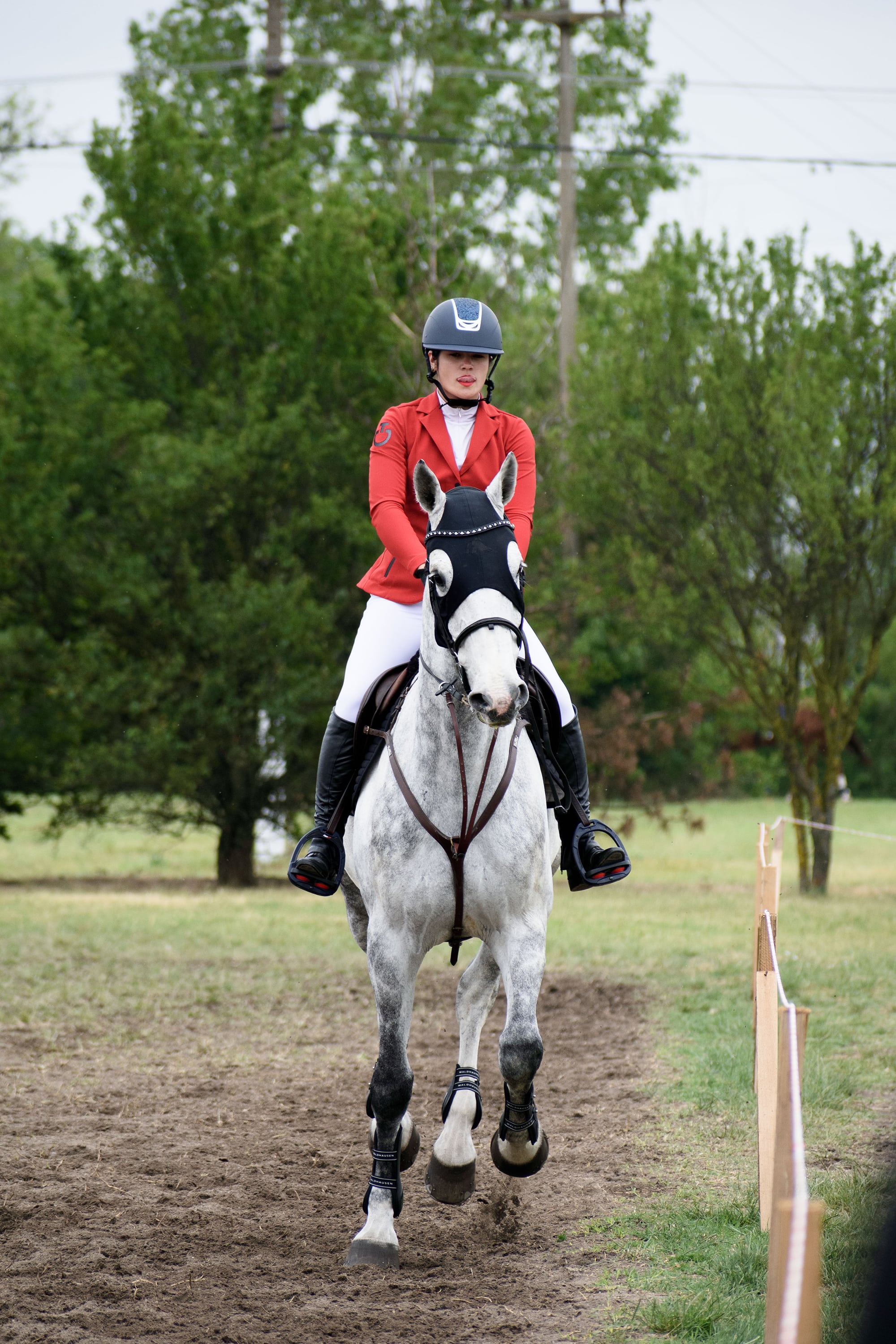 1/1000, f/5.3, ISO 400, 180mm