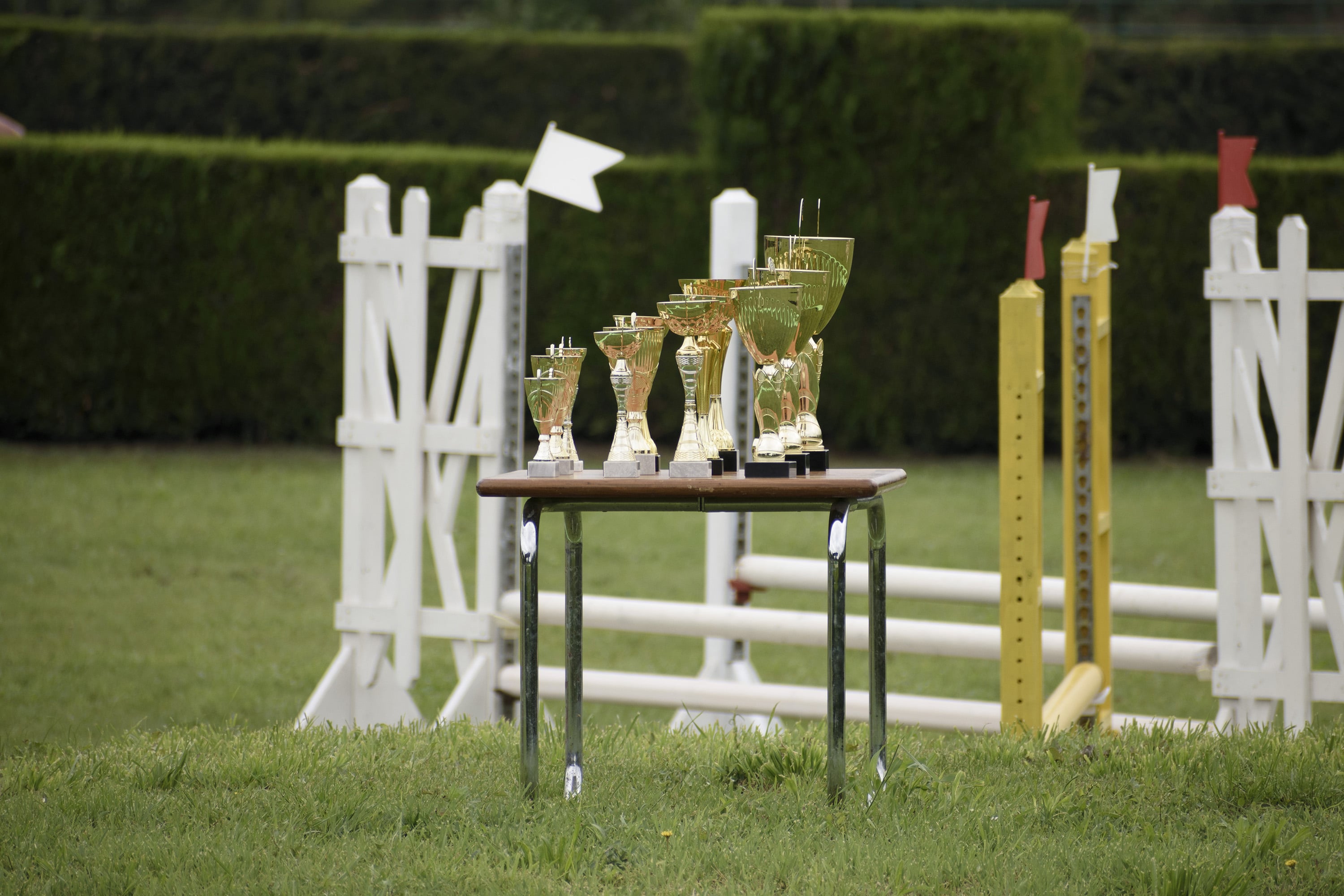 1/500, f/6.3, ISO 220, 300mm