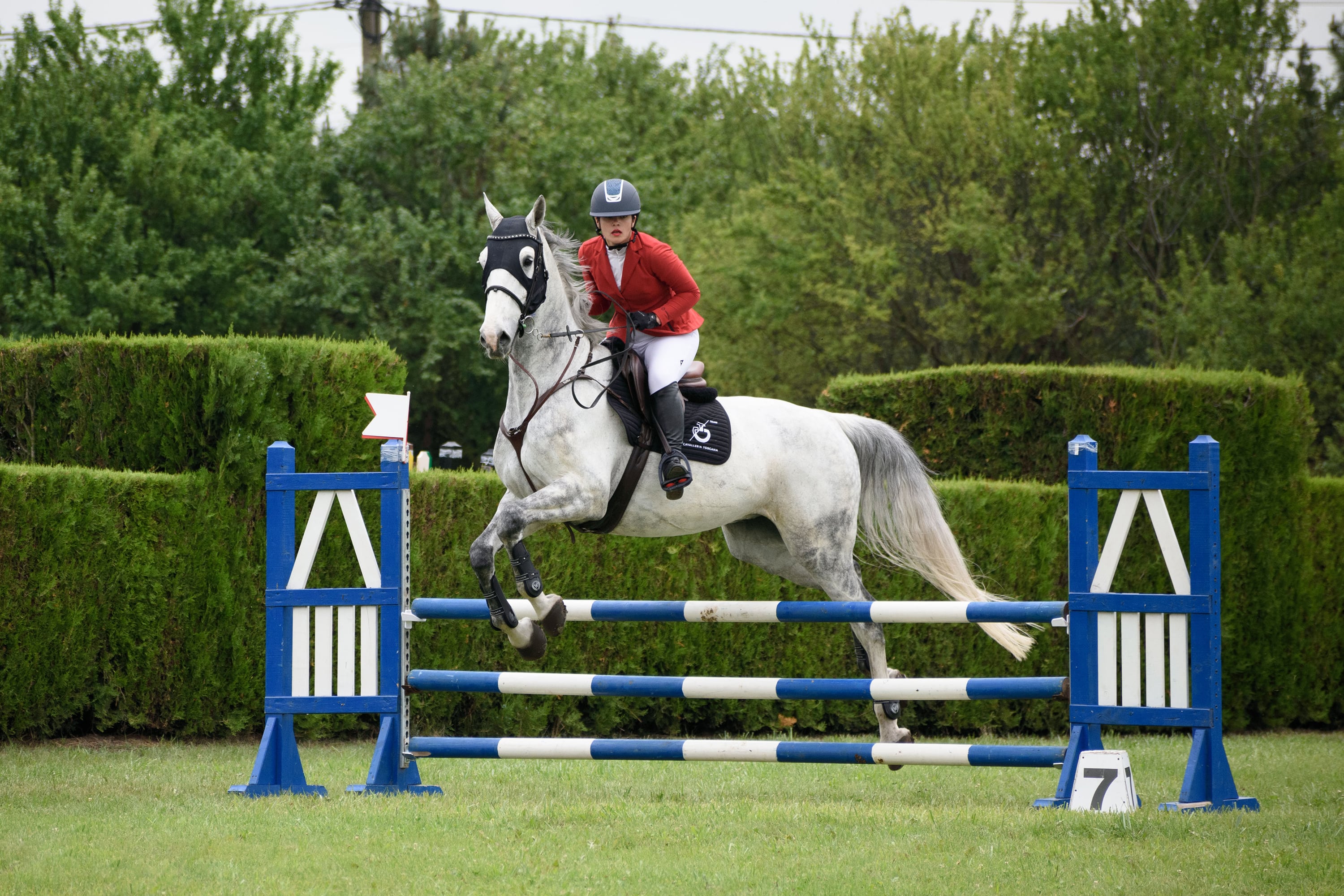 1/1250, f/5.3, ISO 400, 185mm