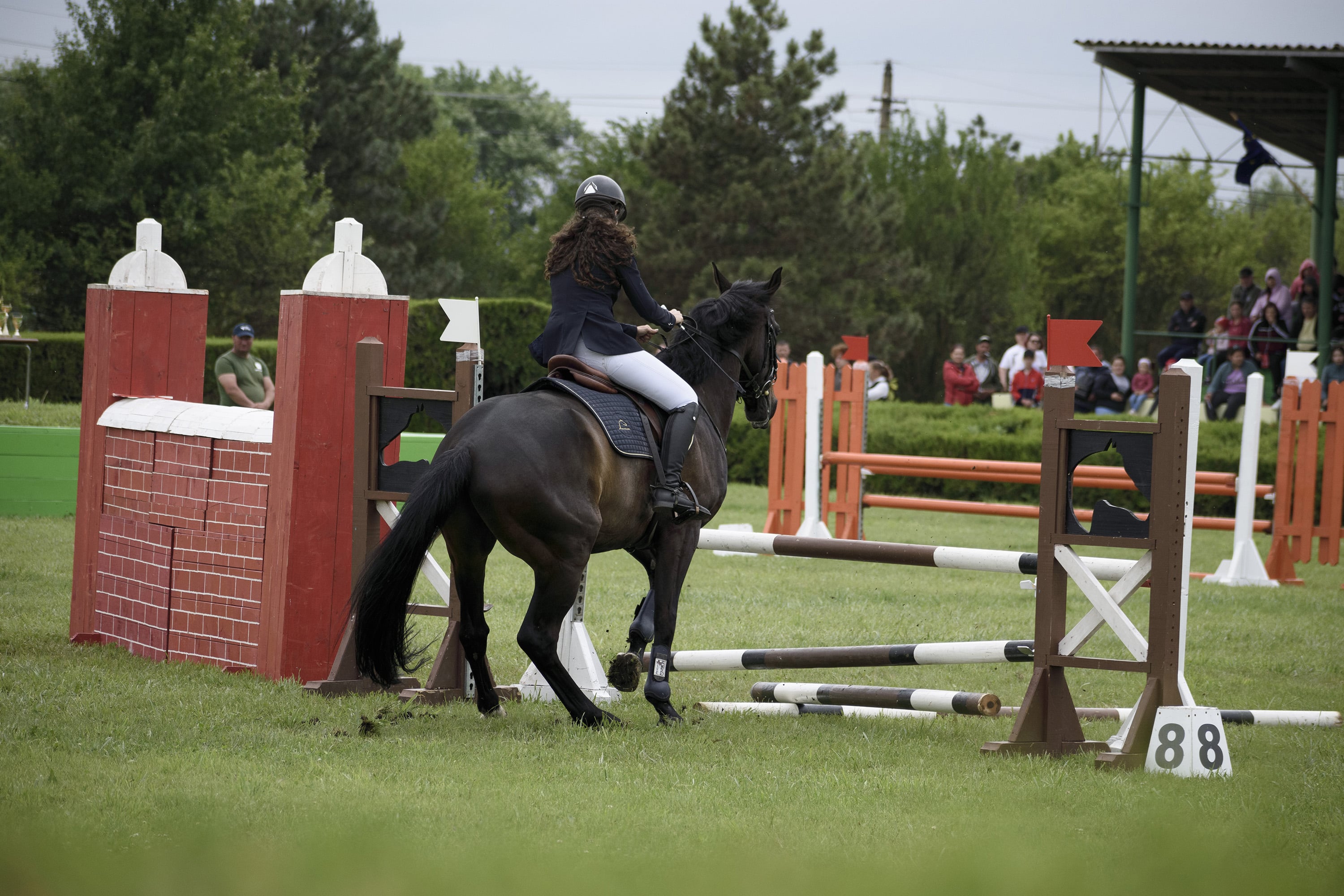 1/1250, f/4.8, ISO 200, 130mm