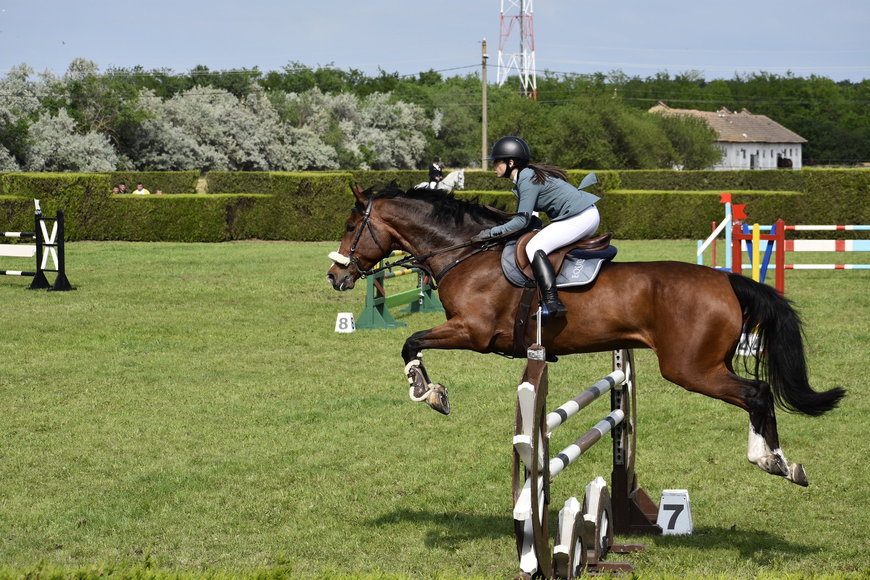 1/2000, f/7.1, ISO 400, 70mm