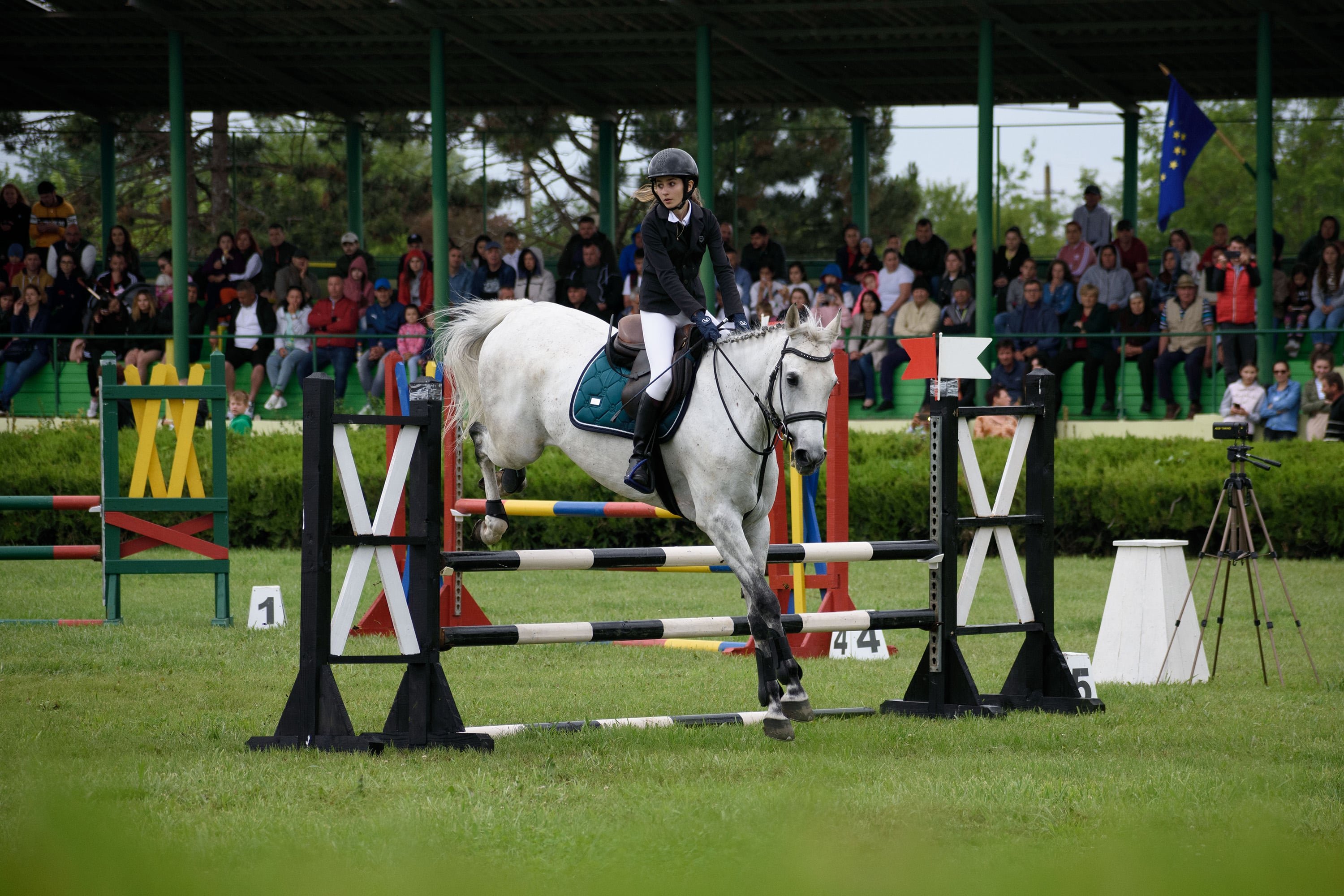 1/1250, f/5, ISO 400, 135mm