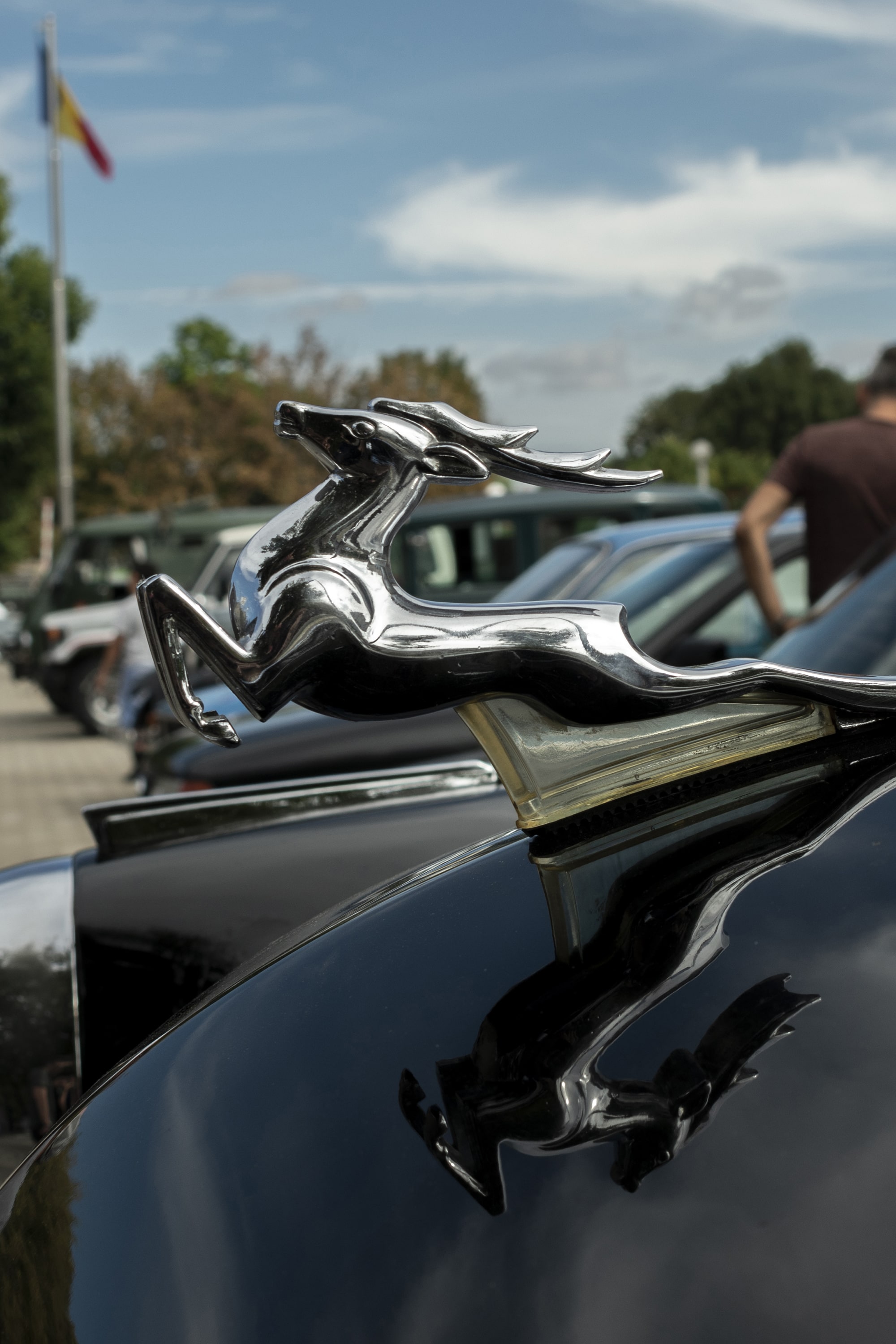 1/250, f/8, ISO 100, 27mm